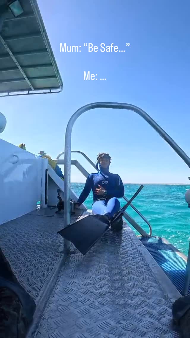 From being afraid of them… to building my life around them.
I grew up with that same fear most people have. Sharks felt unpredictable, dangerous, something to avoid.
Then I started diving. First on scuba, then freediving. Controlled encounters, learning their behaviour, understanding how they move, how they respond… and everything changed.
What used to feel intimidating became one of the most grounding, awe-inspiring experiences you can have in the ocean.
Now, nothing beats taking someone in for their first shark dive and watching that shift happen in real time. Fear turns into curiosity, then respect, then genuine appreciation.
If this is something you’ve ever felt called to experience, come join me:
🦈 Maldives, October 2026 – diving with tiger sharks in one of the most consistent places on the planet
🪸 Lady Elliot Island – reef sharks, manta rays, and some of the best visibility on the Great Barrier Reef
Link in bio to join one of these life changing experiences.