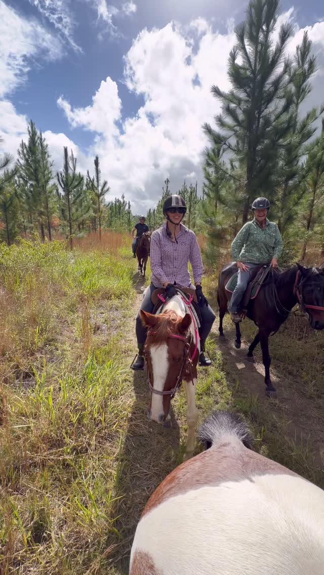 Did you know I offer BYO horse guided trail adventures? Well now you do 😁 get in touch to book your next ride! With a wide variety of options from just a sweet 1hr stroll to more exciting full day rides the choice is yours 🤩 camping available, you could even make it a two or three day riding adventure! Send a email to ride@horseswithholly.com.au or txt 0402018994 to book your fun in.
#horseswithholly #horseriding #trailride #horseadventures #horselove