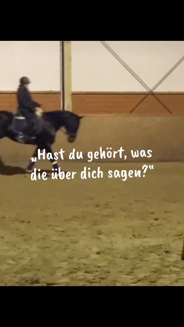 Ich habe lange gedacht, dass es wichtig ist, was andere über mich sagen oder denken. Dass ich funktionieren muss, mithalten muss, Dinge so machen muss, wie „man“ sie eben macht.
Heute ist mir das immer noch nicht komplett egal, weil manchmal sind die Unsicherheit doch da, aber ich habe angefangen mehr hinzuschauen und zuzuhören.
Und ja, das bringt auch Einschränkungen mit sich. Grenzen, die ich mir selbst setze. Momente, in denen ich das Gefühl habe, gar nicht richtig weiterzukommen, nichts dazuzulernen oder irgendwie „hinterher“ zu sein. Nein, ich kann keine Piaffe reiten. Nein, ich kann am Boden nicht alles zeigen, was vielleicht gerade angesagt ist oder beeindruckt. Ja, ich saß seit zwei Jahren auf keinem Pferd mehr. Und manchmal fühlt sich das so an, als würde ich nicht genug können.
Aber gleichzeitig weiß ich, warum ich diesen Weg gehe.
Von außen mag das für manche überempfindlich oder unnötig wirken oder so, als würde ich mir selbst im Weg stehen. Aber für mich bedeutet es, das Pferd als das zu sehen, was es ist: ein Individuum mit eigenen Gefühlen, Grenzen und einer eigenen Meinung.
Und ja, es ist nicht immer leicht, bei sich zu bleiben, wenn andere das nicht verstehen oder komisch schauen. Aber ich lerne, dass genau darin die echte Verbindung entsteht – im Zuhören, im Ernstnehmen, im gemeinsamen Weg.