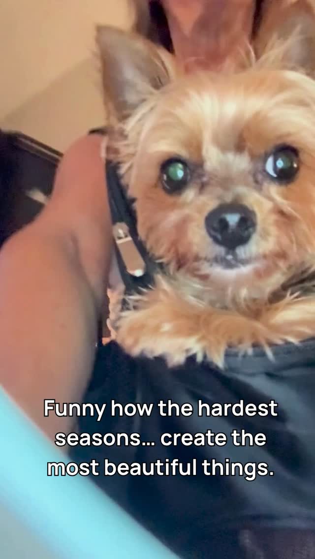 Some seasons don’t look beautiful while you’re in them… but somehow, they create something you never expected.
This little guy was right there with me through it all 🐾
And this song? It came from that place.
If you’ve ever had to find your way back to yourself… I think this will hit home.
Tell me—what helped you get through your hardest season? ❤️👇
#ReneeRuthMusic #ItsSoBeautiful #musicwithmeaning #healingjourney #singersongwriter
