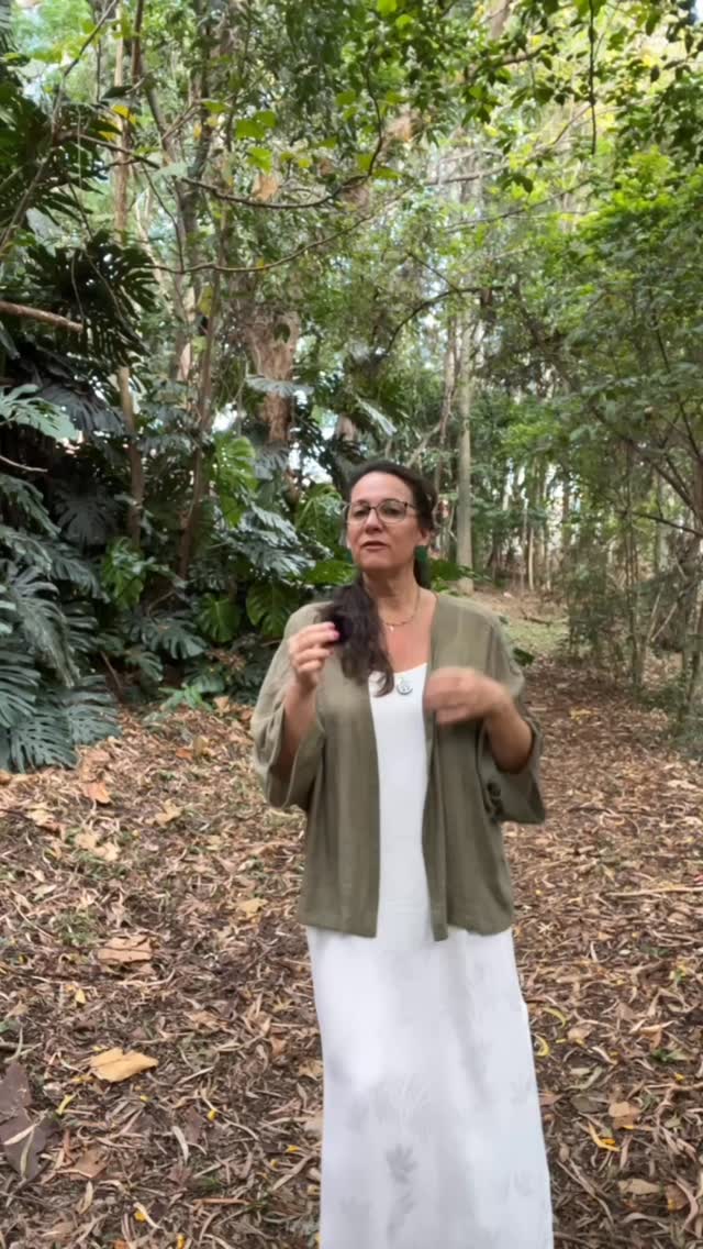 A alimentação influencia não só o corpo, mas também o humor, a energia e o comportamento, por meio do eixo intestino–cérebro e da microbiota intestinal.
No Ayurveda, essa relação já é descrita a partir do equilíbrio do Agni (digestão), que sustenta o funcionamento do organismo como um todo.
Uma alimentação baseada em plantas, com fibras e especiarias, pode apoiar esse equilíbrio e atuar de forma terapêutica.
No retiro, essa proposta é vivida na prática: dias de imersão na natureza, com alimentação ayurvédica, descanso e estratégias de regulação corpo–mente. favorecendo um autocuidado mais possível e sustentável.
Se isso conversa com o seu momento, os detalhes estão no link da bio.
#eixointestinocerebro #nutricaoayurvedica #microbiotaintestinal #autocuidado #saudeintegrativa