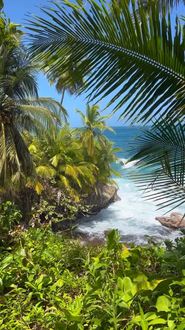 Costa Rica 💕🇨🇷
