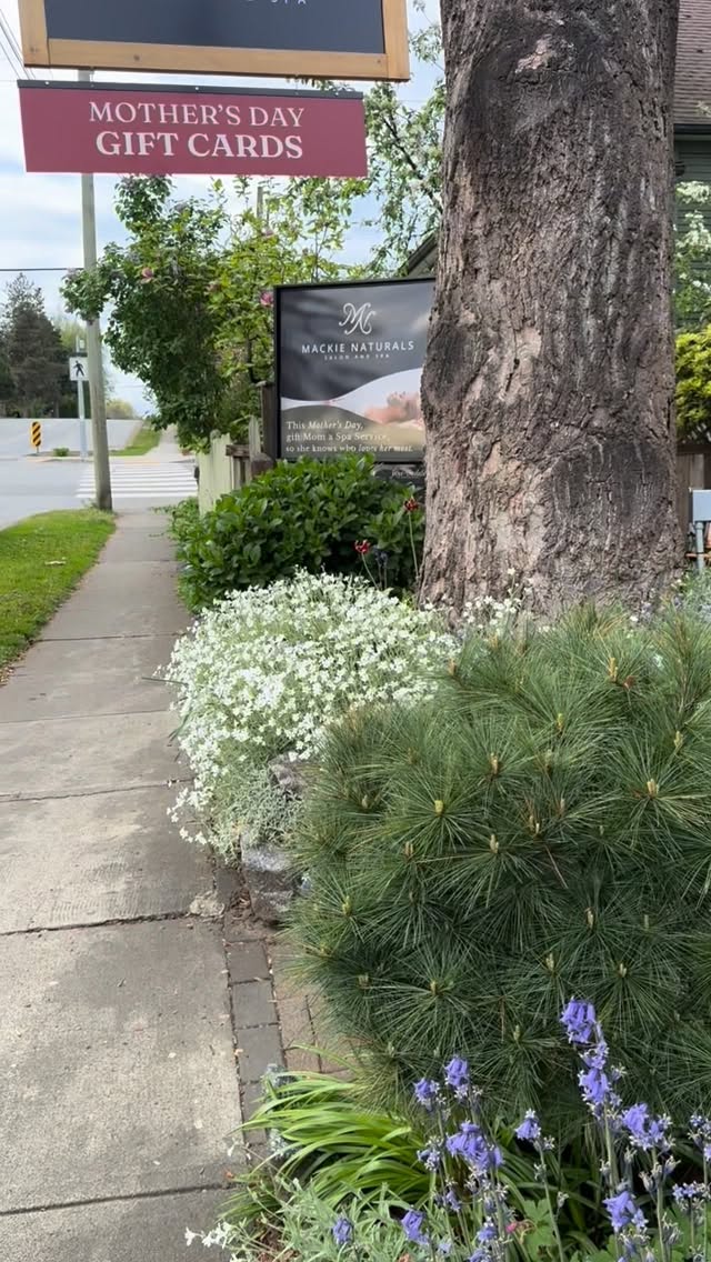 Buy your Mother’s Day gift card online or give us a call! 604-826-4066. Let us make mom feel good. We can email your mom her gift card, post it in the mail or hand deliver if local. 🥰🌸🌺
#mackienaturals #missionbc #spa #mothersday #fraservalley
