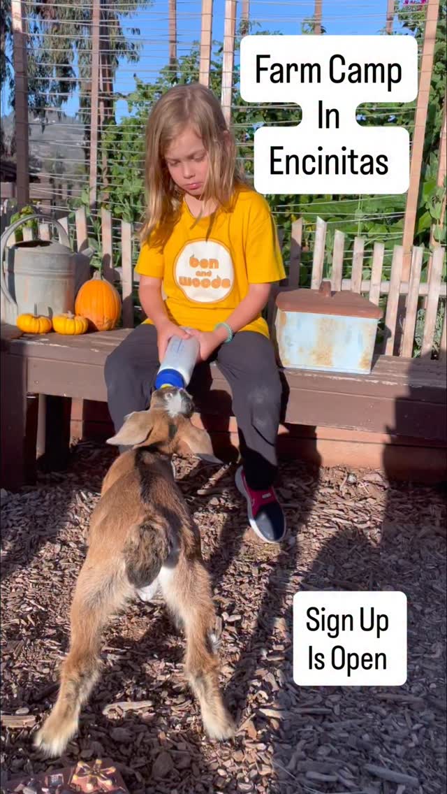 M A G I C
Looking for a summer your child will remember forever?
Our farm camp in Encinitas offers:�• Small groups + low camper-to-staff ratio�• Hands-on time with animals every day�• Outdoor play, creativity, and connection�• Zero screens—just real childhood
Ages 6–12�We have a few spots still available—sign up today SugarSweetFarm.com
#EncinitasMoms #EncinitasFamilies #EncinitasLife #NorthCountySanDiego #CarlsbadMoms