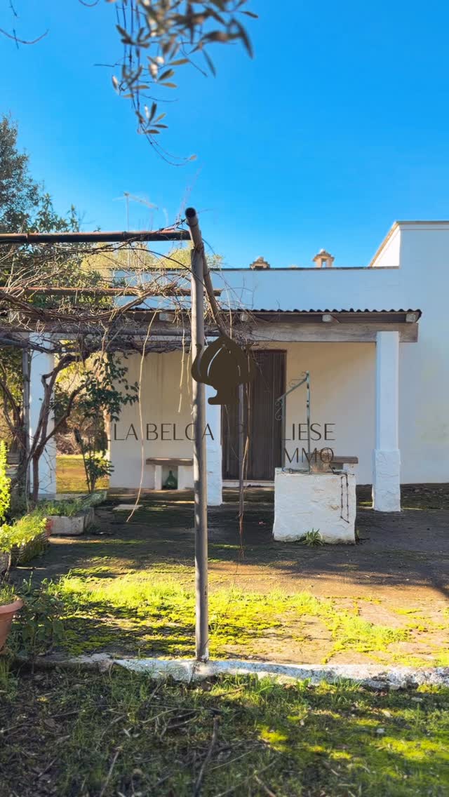 ✨‼️🚨NOUVEAU PRIX !
89.000€
CEGLIE MESSAPICA | À RÉNOVER
Des murs en pierre, une lumière incroyable, le charme brut du sud de l’Italie… et tout le potentiel pour créer la maison dont vous rêvez.
Ici, on ne parle pas juste de rénovation.
On parle de transformer une structure authentique en refuge méditerranéen, maison de vacances ou investissement intelligent. 🇮🇹☀️
Vous voyez les travaux.
Moi, je vois la terrasse au coucher du soleil, les dîners d’été, la valeur qui grimpe.
👉 Projet coup de cœur pour visionnaires.
👉 Opportunité rare dans l’une des perles de la Vallée d’Itria.
👉 Idéal résidence secondaire ou location saisonnière.
Prêt(e) à transformer du potentiel en patrimoine ?
📩 Écrivez “CEGLIE” en commentaire pour recevoir les détails en privé.
#puglia #cegliemessapica #pouilles #investissement immobilier