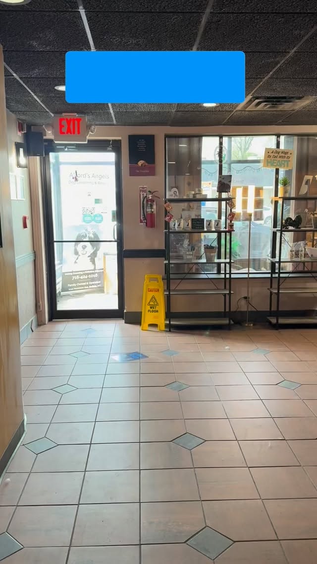POV: your groomer is your bestie 🥹🐾
Reggie girl @reggie_girldoodle525 comes RUNNING in to see Amanda every time and honestly… our hearts can’t handle the sweetness 💕✨ #buffalo #grooming #dogs #dogstagram