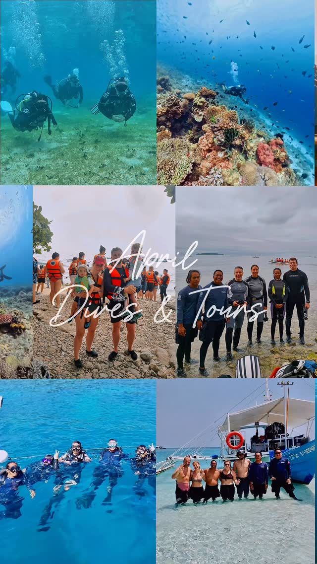Awesome month of April at Southseas! crystal-clear waters, epic dives, and unforgettable moments both above and below the surface. From first breaths underwater to seasoned divers chasing new depths, every day brought something special.
Massive thanks to everyone who joined us this month — your energy, smiles, and love for the ocean made it truly awesome.
May is calling… are you ready for your next adventure?
For Scuba courses and Dive Trip bookings & other inquiries:
Email - diveandstay@southseasbrdc.com
WhatsApp: +63 956 305 1200
.
.
.
.
#diveinsouthseas
#divesantandercebu
#diveoslobcebu
#sumilonisland