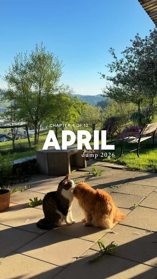 Danke April 🌸✨
klettere. gwächshüüsli. shooting. eifach siii. blüehendi natur. familyziit. muetig gsi. uusziit.
STEPHANIEBUECHEL
HEIHEISTEPHANIE
ABTWILSG
FOTOGRAFINSTGALLEN
FOTOGRAFINOSTSCHWEIZ
RETREATSCHWEIZ
AUSZEITSCHWEIZ
ZURÜCKZUMIR
FURNA GRAUBÜNDEN
STGALLEN
RETREATNORWEGEN
TROMSØ
FOTOREISEFÜRFRAUEN
LIFECAOCH
ZYKLISCHESLEBEN
FRAUENPOWER
FRAUENCOACH
TAGESAUSZEITSTGALLEN
STEPHANIESSAFESPACE
SCHWEIZERPODCAST
PODCASTAUFSCHWEIZERDEUTSCH