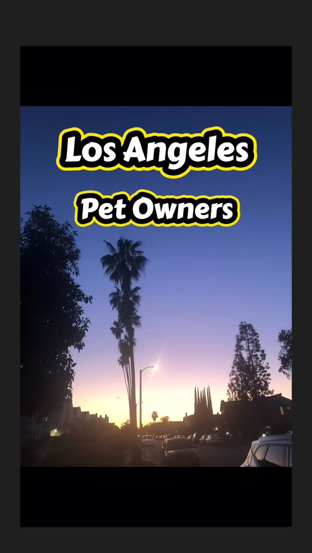 Los Angeles Dog Moms, Dog Dads, Cat Moms and Cat Dads!! Finding a vet, boarding, grooming, or training shouldn’t be this hard….so I did all the work for you! I created the RECS 4 PETS app and listed pet businesses I have vetted and reviewed. I created this app because I learned that sponsored search results don’t always give you the best choice for your pet. Many of the businesses on the RECS 4 PETS app I have personally used for my dog, Eddie. You can also find pet boutiques with self-wash stations, fresh food, and online ordering for pet portraits, kawaii-inspired ID tags, healthy treats, and more!
There is also a pet-friendly even calendar so you don’t miss out on fun events to bring your dog!
Each business offers a special discount for first time customers when they download the RECS 4 PETS app. These are all independent small businesses. Support small businesses! San Gabriel Valley- Arcadia, Pasadena, Temple City, La Verne, West Covina has quality pet care and reasonable prices.
Download the RECS 4 PETS for free from the App Store or Google Play
@heavenlypetresort_templecity
@petnmindmonrovia
@socal_acu_vet
@furtownpetspa
@pleionecreative
@tiffany_dnaka_
@snaggletoothpets
@arcadiaanimalhospital
@westmain_animalhospital
@laverneanimalhospital
@thedogzonemonrovia
#dogmomlife #LApets #catmomlife #petcare #supportlocal