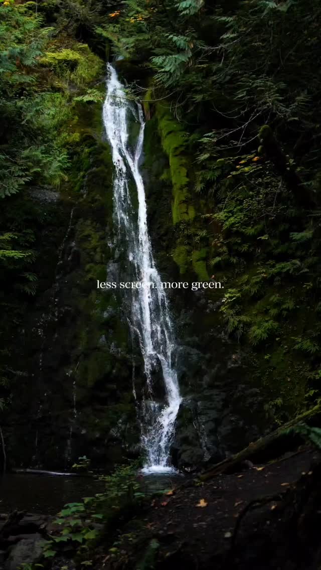 A little reminder that sometimes the best plans involve less scrolling and more fresh air. This is your cue to spend more time outside this weekend. #nature