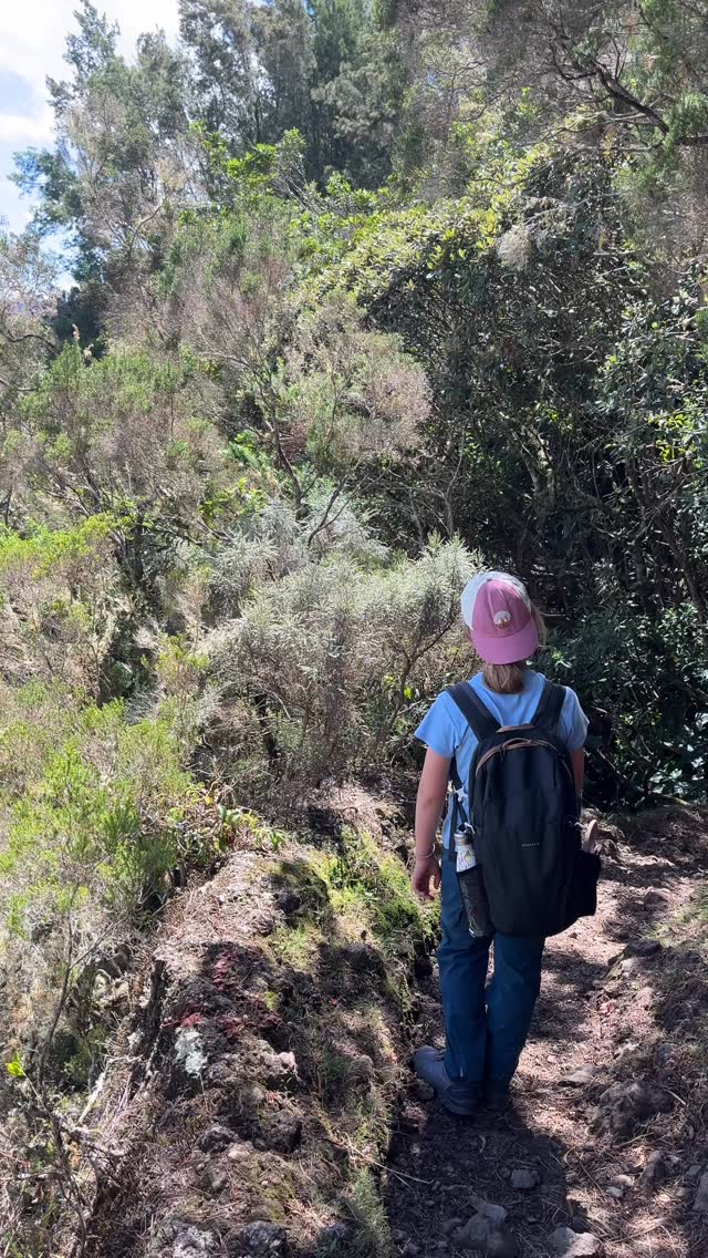 Bref. On a fait Mafate. Exceptionnel
Tout sur le blog !
L’article sur Mafate est en ligne ! Lien dans la bio 👆🏻#lareunion#paysagesexceptionnels#randodifficile#denivelé#montagne
