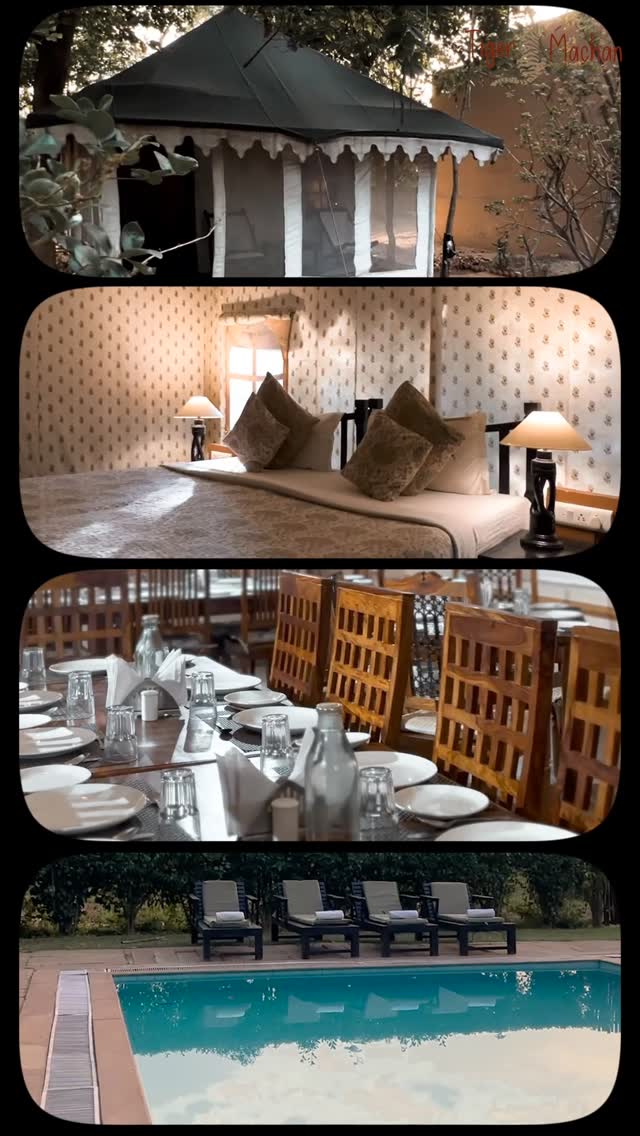 Your perfect Ranthambore getaway starts here 🌿
Luxury rooms, jungle safari vibes, relaxing moments & warm hospitality — welcome to Tiger Machan Resort ✨
A reset for the mind, body, and soul ✨
DM us now for bookings & special packages 🐅
#luxurywildlife #ranthamboretrip #tigersofranthambore #tigermachan #wildliferesortsindia
