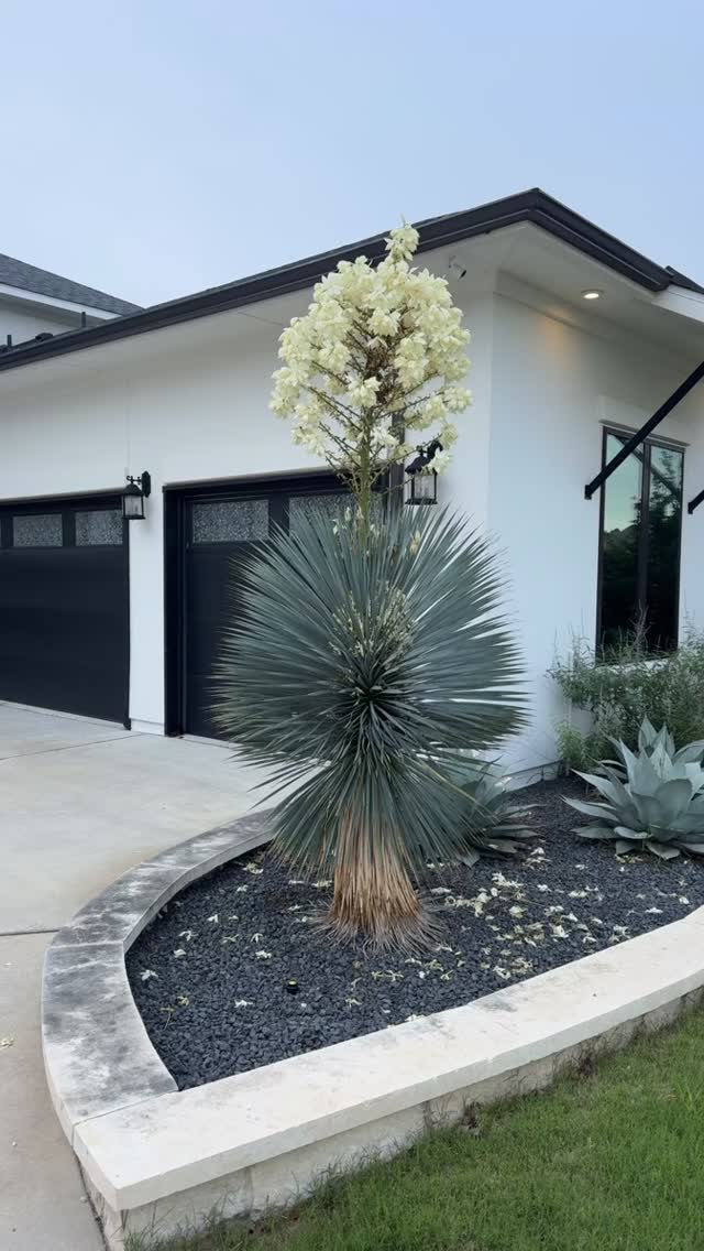 Final walk-through at a home that truly leaves an impression. From the expansive living spaces to the breathtaking views, every room tells part of the story.
My clients relocated for an exciting new job opportunity, closing one meaningful chapter and beginning another. Now this beautiful home is ready for its next story.
We’re excited for the new owners as they step into a space filled with light, room to grow, and endless possibilities to make memories of their own.
New beginnings. New opportunities. New memories.
#FinalWalkThrough #JustSold #NewBeginnings #AustinRealEstate #LuxuryLiving #DreamHome #HillCountryViews #HomeWithAView #MovingDay #NextChapter #SoldHome #TexasRealEstate #HouseGoals #NewMemories #RealtorLife #AustinHomes #RealEstateJourney #ClosingDay #relocation #SpaciousLiving #WelcomeHome #berkshirehathawayluxurycollection #bhhstxrealty #berkshirehathaway #germanrealtorinaustin#sabinemccallahomes #soldbysabine