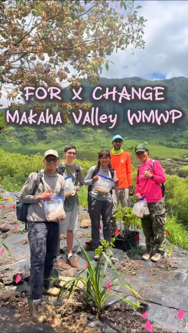 What a gorgeous day in Makaha Valley! Mahalo nui to @wmwphawaii for hosting this For X Change.
We planted ‘A’ali’i, Hala, Milo, and Wiliwili. We also collected ‘A’ali’i seeds.
Mahalo KMWP for having us and thank you to our volunteers, Bryson and Matthew for coming out this weekend!
Mahalo nui iā kākou!!
#volunteerhawaii #malamaaina #getinvolved #luckywelivehawaii #conservation