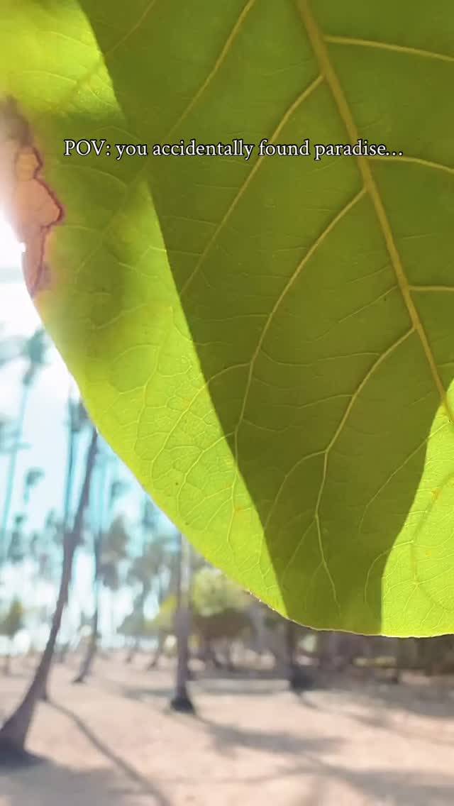 POV: you accidentally found paradise… 🌴🇩🇴
Tucked away on the north coast of the Dominican Republic, Cabrera is the kind of place that makes you slow down and appreciate the simple things. Empty beaches, hidden lagoons, fresh fruit on the side of the road, and sunsets that don’t even look real.
No big crowds. No rush. Just nature, culture, and the beauty of everyday life.
This is the Dominican Republic most tourists never get to see. ✨
Would you visit Cabrera? 👇
Follow @explorecabrera for hidden gems, local spots, and the real DR.