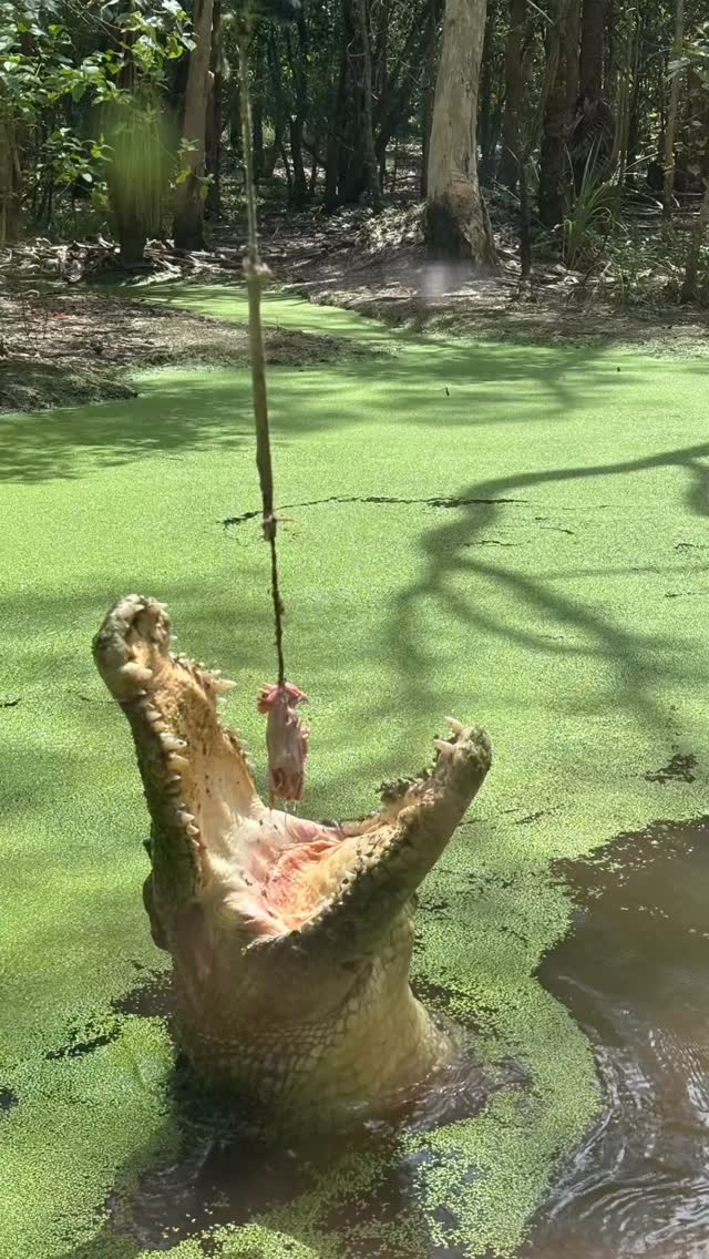 Queensland, Australia.