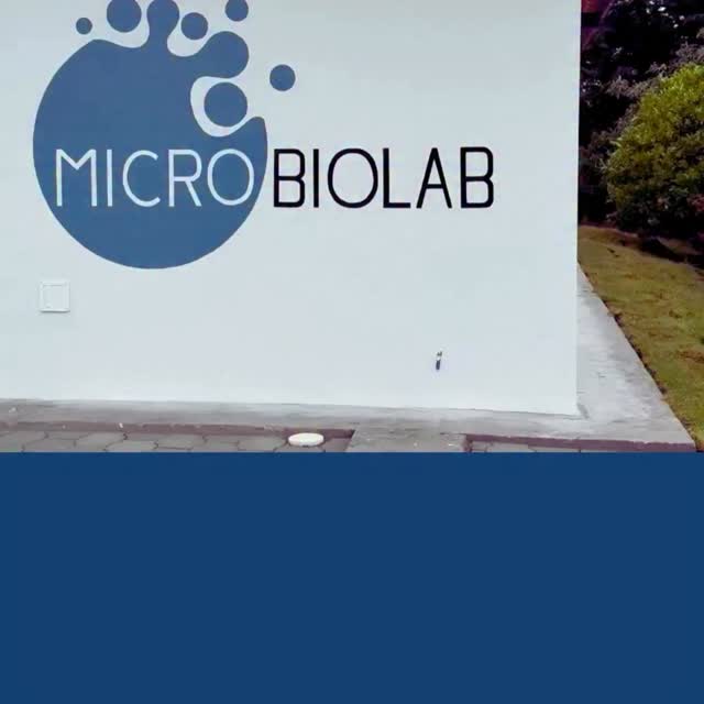 🦠🌱 En Microbiolab Ecuador trabajamos desde hace más de 10 años desarrollando soluciones microbiológicas para la agricultura ecuatoriana.
Producción de microorganismos agrícolas, análisis microbiológicos, evaluación de bioinsumos y asesoría técnica especializada para productores, empresas y proyectos agrícolas.
Trabajamos con microorganismos como:
Trichoderma spp., Bacillus spp., Pseudomonas spp., Beauveria bassiana, Metarhizium anisopliae, Lecanicillium lecanii, Rhizobium spp., Lactobacillus spp. y más.
Presentaciones disponibles:
✔️ Líquido con biomasa y metabolitos
✔️ Gel
✔️ Sólido colonizado
✔️ Producción líquida celular
📞 Atención al cliente:
099 561 2043
098 031 7753
📍 Microbiolab Ecuador
“Microbiología aplicada al campo.”
#microbiologia #bioinsumos #trichoderma #agricultura #ecuador microbiolab microorganismos fertilidad suelos agriculturaorganica photo photographer photogra
