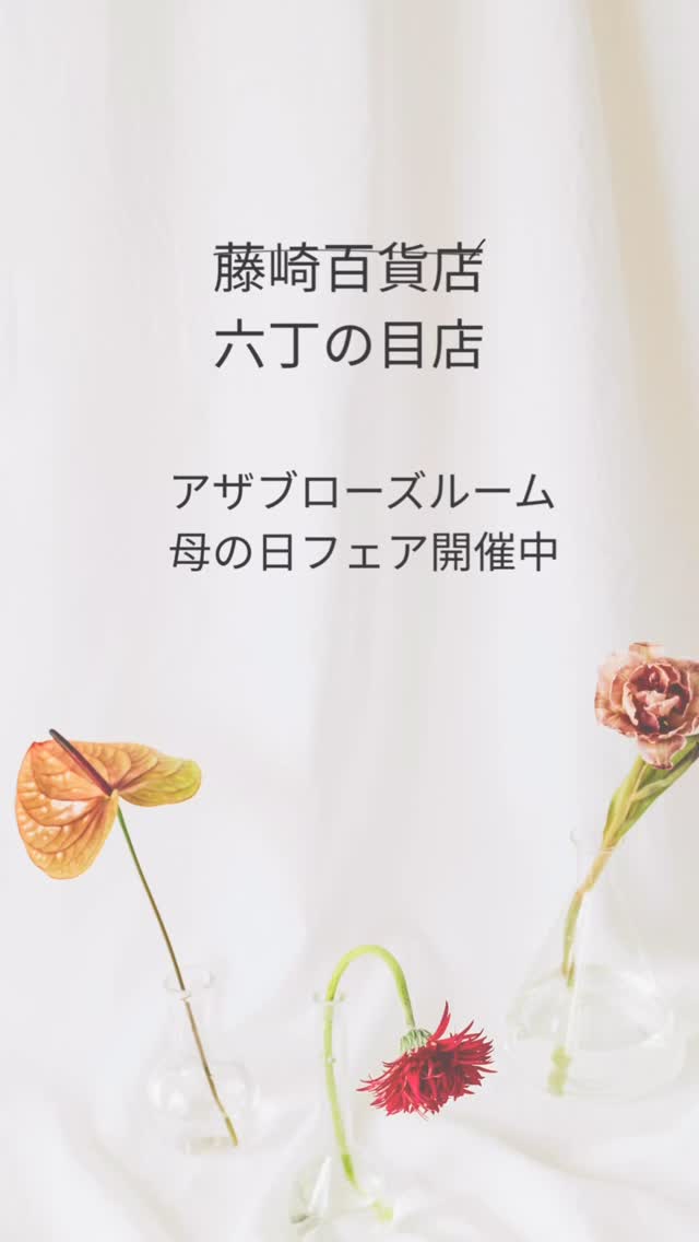 いつもご訪問ありがとうございます😊
只今、藤