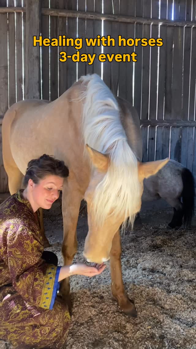 Bucharest here we come!
During this 3-day event I’ll teach you how to connect with horses on a deeper level, how to create a safe space for te horse and for yourself on a physical, emotional and energetic level and how to find your unique way of working with healing energy.
After these days you will:
Understand horses and their wellbeing.
Be able to help horses to restore trust.
Communicate with horses in a whole new way!
Become part of the change that horses need. ❤️🙏
Do you want to join? Or host an event in your country? Sent us a DM 📩✨