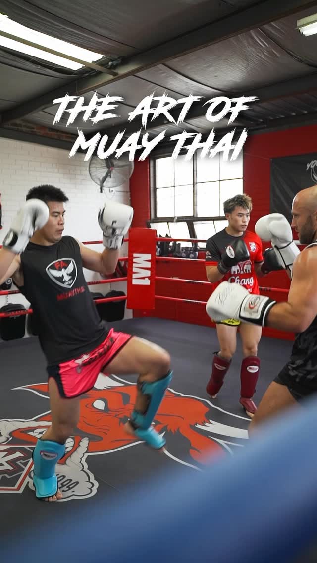 Where movement meets meaning. Every strike tells a story — discipline, power, and heart woven into motion.
Muay Thai isn’t just fighting. It’s an art 🔥🥊.
#youngbullsgym #youngbullsmuaythai #melbournemuaythai #unleashthebulkwithin #youngbullsneverdie