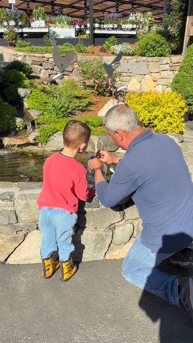 New little swimmers just joined the pond. 🐡Our newest goldfish have officially made themselves at home. 🧡Fun stop for the kiddos to feed them while you visit. Should we name them 🐡👇
#gardencenterlife
#familyownedandoperated
#203local
#bestofnorwalk