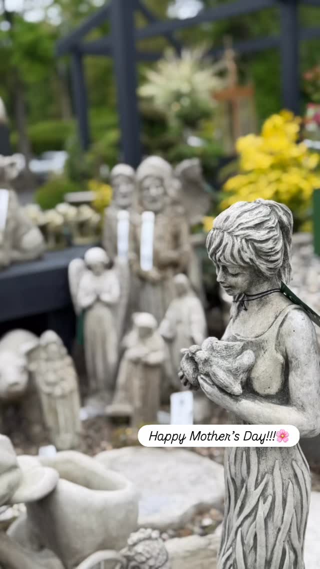 Mother’s Day has arrived, and our garden center is blooming with beautiful gifts for Mom. Tropical flowers, lush plants, and all the little touches to make her feel celebrated. 🌸 Come spend the day with us.
#mothersday❤️
#motherslove❤️
#203local
#darien
#familyownedandoperated