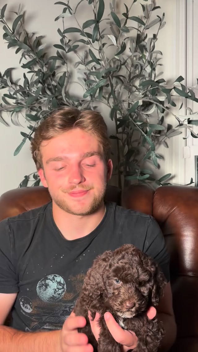 Behind every puppy pickup, airport run, late-night snuggle, and smooth delivery⦠thereās a good chance Jake had a hand in it š¤
Yāall always see the puppies, but today weāre showing some love to one of the hardest working parts of @southernmeadowsdoodles. And since heās already carrying puppies around⦠we figured he might as well show off the ones still waiting on their forever people š
These babies are READY NOW and letās just say⦠they arenāt going to stay little (or unclaimed) for long. š¾
#southernmeadowsdoodles #australianlabradoodle #puppylove #australianlabradoodlebreeder #puppygram