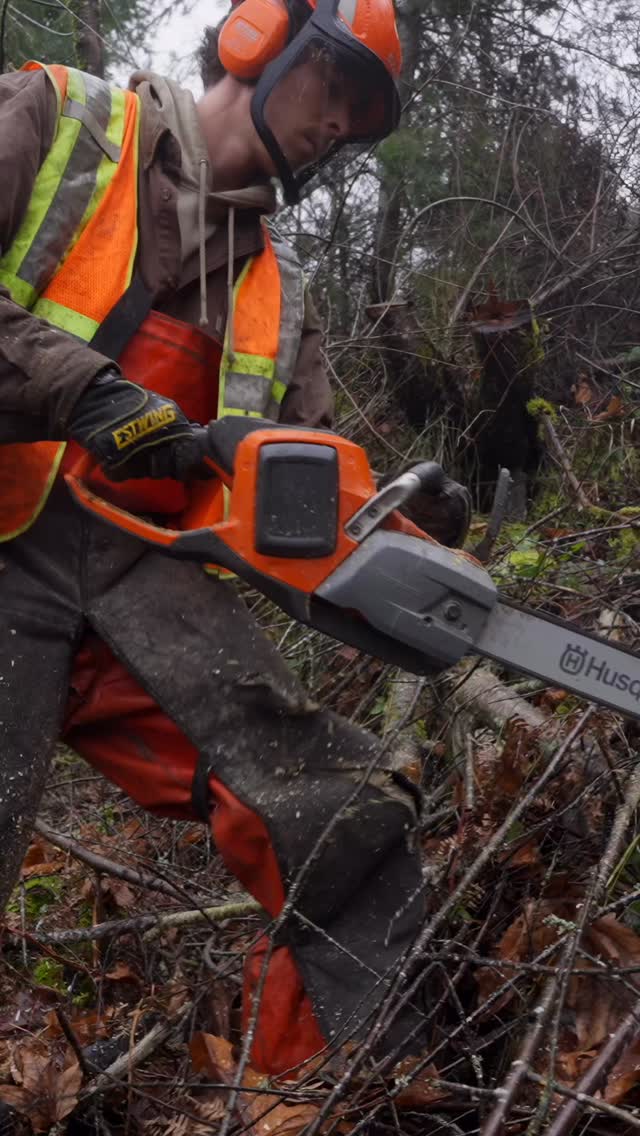 CRF is excited to release, Rooted in Resilience - forestry for resilient communities & watersheds, a new film showing both the costs of short-term profit-driven timber harvesting and the long-term benefits of ecological approaches that protect watersheds, biodiversity, and local livelihoods.
Click the link in our bio to watch the full video!
This film is the first in an ongoing series by CRF exploring the importance of multi-generational forest stewardship. It begins with a focus on watershed health, shaped by the devastating floods our communities experienced last December.
To learn more, visit our website and sign up for our newsletter: c4rf.org