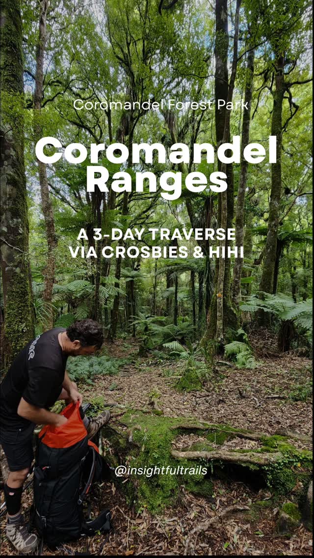 Day 3 nearly broke me, but wow it was worth it!!
Last week Jay and I set out on an adventure in our backyard.
Crossing the Coromandel ranges from Tapu-Coroglen summit to Crosbies Hut (we camped), down to the Kauaeranga Valley (Totara Flat campsite by the river), and up over the Hihi via the Tarawaere track to Broken Hills Car Park.
We had fine weather the first two days, but the last 9 hour day was all rain, steep ascents and descents, and about 2 hours of mud to the knees.
It felt good to be physically exhausted again! And to be back in the Coromandel Forest Park.
#hikingCoromandel #crosbieshut #kauaerangavalley