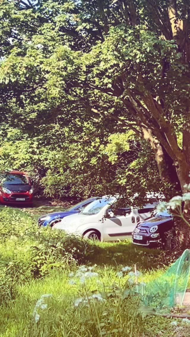 THREE lovely hen parties at Oatley today, two with private tastings in the wine barn and each with their own picnic spot!