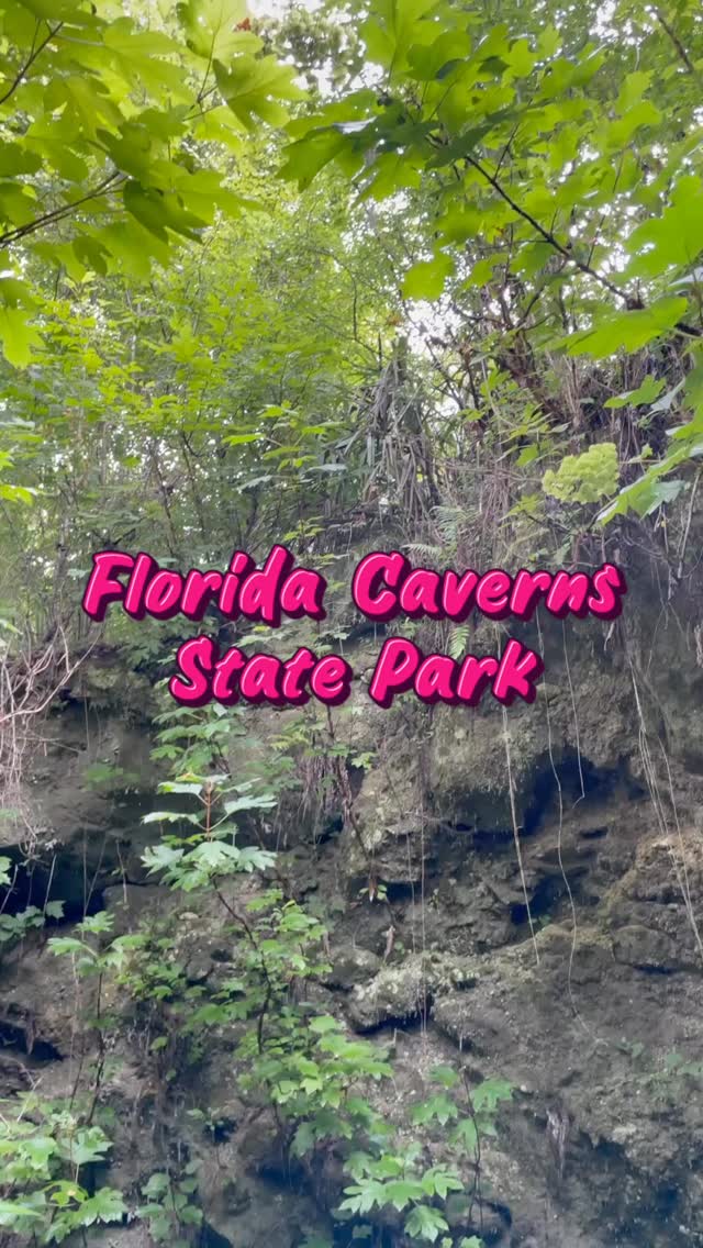 Florida really said plot twist 👀
Because who expects to find actual caverns in Florida?
We took the kids to Florida Caverns State Park and this trip ended up being one of the coolest family adventures we’ve done.
From wildlife sightings and peaceful water views to walking deep inside a real cave system… this park feels like a whole different side of Florida.
The cavern tour is 100% worth it, but just know some areas are narrow and low, so it’s best to go prepared — especially with kids.
If you’re looking for a Florida trip that feels adventurous, family-friendly, and a little unexpected… this is one to add to your list. ✨
Have you ever been to Florida Caverns State Park?
🇧🇷🇧🇷🇧🇷🇧🇷🇧🇷
A Flórida simplesmente resolveu surpreender. 👀
Porque sinceramente… quem imagina encontrar cavernas de verdade na Flórida?
Levamos as crianças para o Florida Caverns State Park e essa acabou sendo uma das aventuras em família mais legais que já fizemos.
Entre os animais pelo parque, as vistas lindas da água e a experiência de entrar de verdade em um sistema de cavernas… parece até outro lado da Flórida.
O tour pelas cavernas vale muito a pena, mas já aviso: algumas passagens são estreitas e baixas, então é bom ir preparado — principalmente com crianças.
Se você está procurando um passeio na Flórida que seja diferente, aventureiro e ao mesmo tempo family-friendly… coloca esse na lista. ✨
Você já conhecia o Florida Caverns State Park?
#floridacaverns #floridatravel #florida