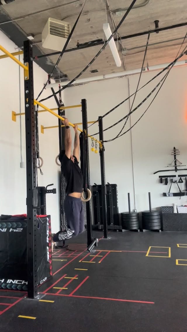 The Courageous Chin-Ups
Back to basics - Day 10
#ottawafitness #ludensfitnessstudio #waterridgevillageatrockcliffe #ottawafitnesscommunity #ludens