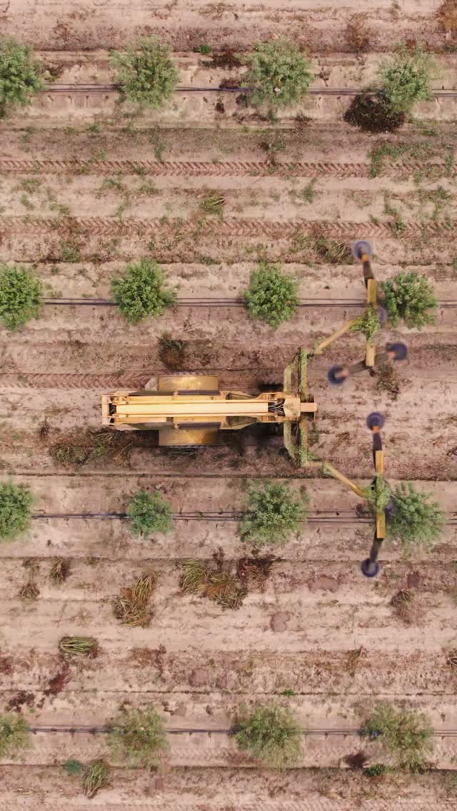 From start to finish, we handle the work that keeps orchards moving and dialed through the season. 🌳
#TreeBarber #OrchardManagement #OrchardCare #TreeCare #HealthyTrees