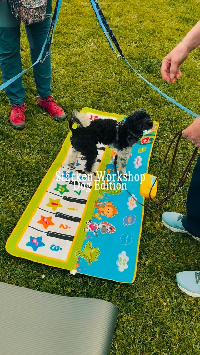 Letzte Woche konnten wir endlich die neue Version unseres Stärkentests für euch testen! 🥳