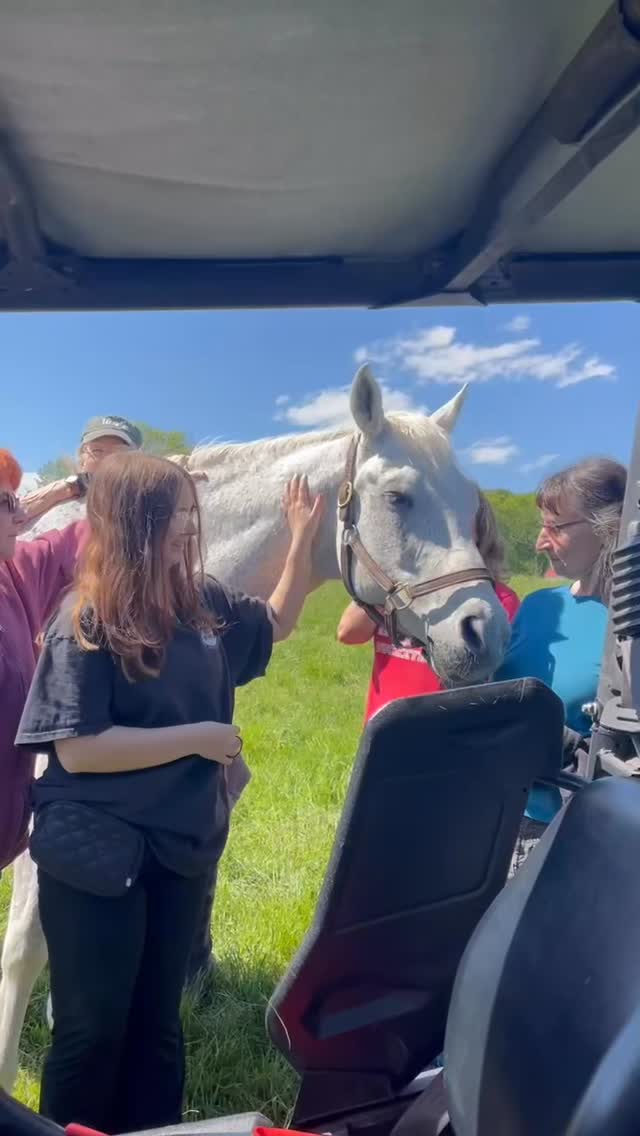 We loved celebrating Diego’s birthday yesterday! 🐴🎉
Diego is a 15.2 Quarter Horse gelding born in May 1998. He and his former owner competed in low-level dressage and eventing, where he particularly enjoyed cross country. They also shared many wonderful trail riding adventures. In addition, Diego spent a summer providing equine-assisted therapy for families caring for a child with a life-threatening illness. He is playful with his pasture mates, incredibly sociable, and adores attention.
Come show him some love at no cost! We’re open daily from 10 am to 4 pm.