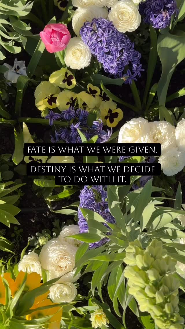 Fate is the things we were given.
The family we were born into, our lineage, our country, the socioeconomic environment, all of the traumas we encountered when we were very small and could do nothing about.
Destiny is what we choose to do with all of that.
We could decide to remain victims for the rest of our lives, living small, afraid and protective, never really going for the things we truly desire, never fully living.
Or we could decide to heal our inner children, to release and let go of the burdens we carry from our ancestors and our lineage.
We can decide that we are the last ones, and that it ends with us.
We can decide to accept our parents’ love, as much or as little as it was.
We can decide to open fully to the gift of life, and to make the most of what we do have, instead of focusing on everything that was not provided, everything we didn’t get, all the needs that were not met.
Fate is given. Destiny is chosen.