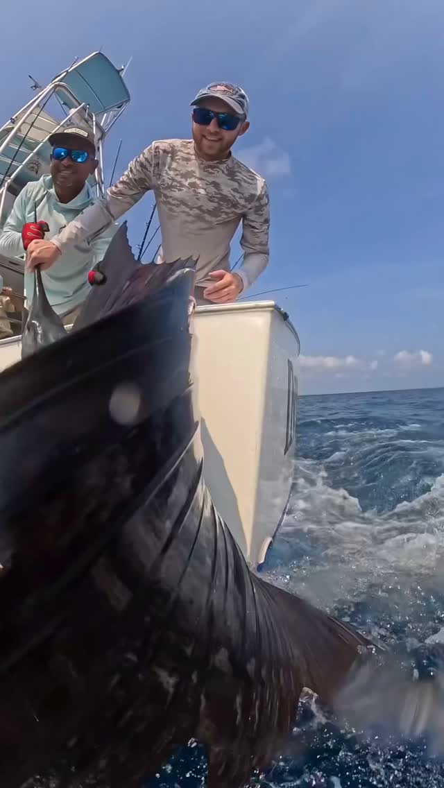 The magnificent colors of a sailfish. Fish w/ INTENSITY!!!
