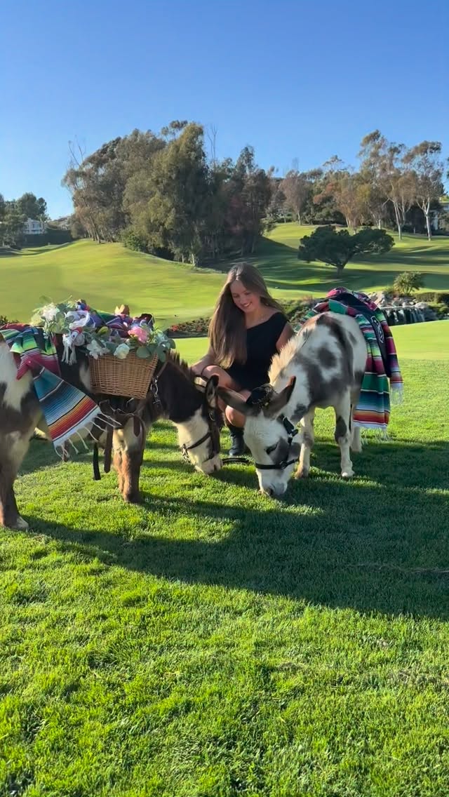 Cinco de Mayo with our @calibeerburros at Marbello Country Club. The donkeys were the perfect addition to a festive event.
#beerburros #drinkdonkey #cincodemayo #donkeysofinstagram #minidonkey