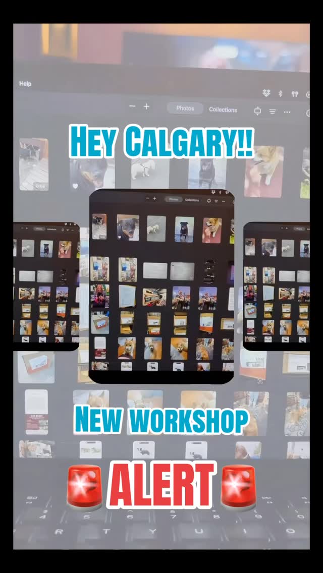 Hey Calgary! Join us at Wild Rose Brewery on May 26th for our cyanotype workshop and try one of photography’s oldest printing techniques.
You’ll create 2 cotton paper prints and a custom tote bag using photo transparencies, found objects, and layered compositions. Send us a photo ahead of time or experiment with the materials we provide.
Tickets are $65 and include a drink. No experience needed — just come hang out and make something cool.
Link in bio or visit costumealchemy.com
#yycevents #girlsnightout #crafts #paintandsip #jacquardcyanotype