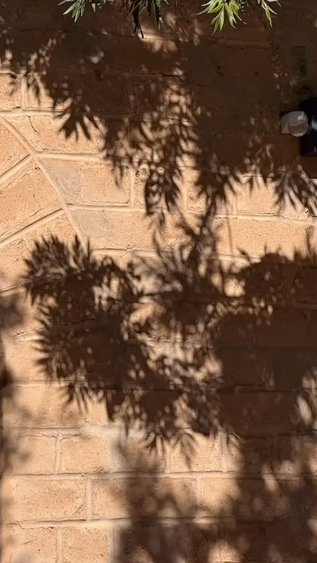 Quand le soleil sublime chaque détail… ✨
Marrakech crée sa propre magie.
When the sun enhances every detail… ✨
Marrakech creates its own kind of magic.
#architecturalbeauty #lightandshadows
#luxurydesign #moroccanstyle #travelinspired