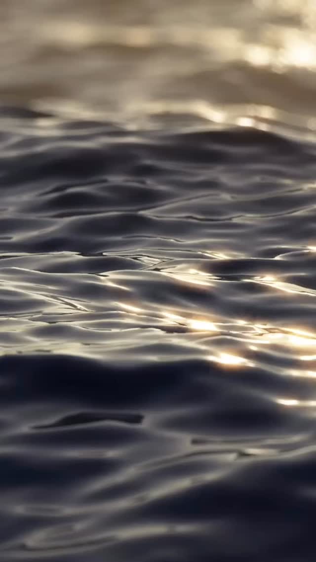 — 🌊 Il mare
…è bellissimo.
Le barche anche.
Le immagini pure.
Poi, però, finito il video, resta la domanda importante:
🧯 gli estintori sono controllati?
🛟 le dotazioni sono in regola?
⚓ il bordo è davvero pronto?
📋 qualcuno ha verificato tutto prima di salpare?
Perché l’estetica fa scena.
La sicurezza fa la differenza.
E noi, modestamente, preferiamo occuparci della seconda. 😉
Estintech Group
Sicurezza a bordo, senza lasciare tutto al caso.
#EstintechGroup #Nautica #SicurezzaABordo #SicurezzaNautica #Estintori DotazioniNautiche CheckUpABordo Prevenzione ManutenzioneEstintori PortoRotondo Sardegna Olbia CostaSmeralda