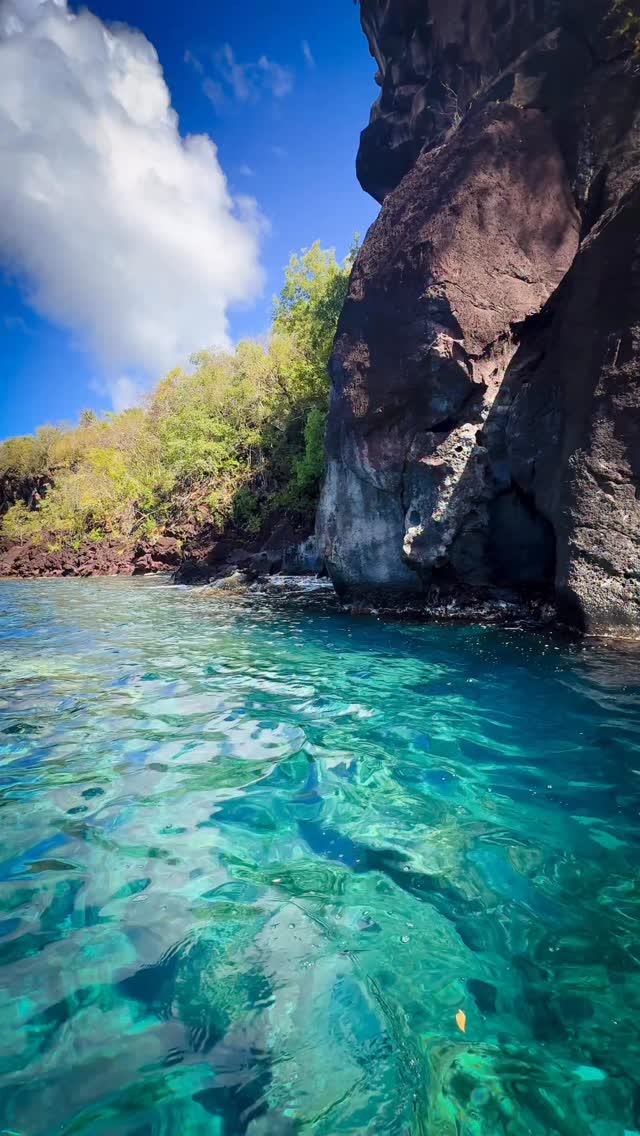 Quand on comprend que le luxe n’est pas matériel, on se sent riche chaque jour 😌
.
.
.
#petitsbonheurs #pleasure #martinique #martiniquelifestyle #lifeisbeautiful