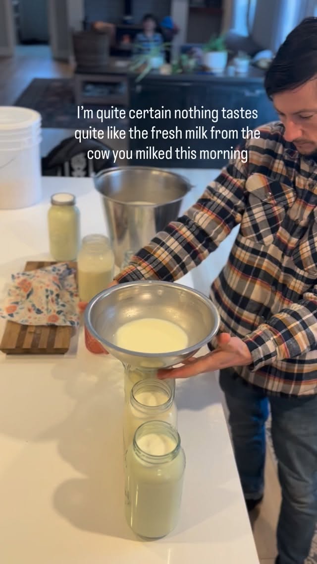 We milk by hand and this morning we timed how long it took to milk out our cow who gives about 4 gallons. Wanna guess? 14 min, not too bad 🙌🏻
#homestead #farmlife #rawmilk #country