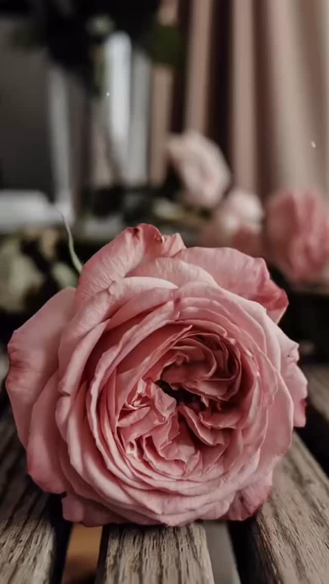 Happy Mother’s Day to all the incredible moms in our PIMAS family 💐🎶 Thank you for every car ride to lessons, every recital tear, every practice reminder, every sacrifice, and every moment you spend supporting your children’s dreams. Behind every confident performer, there is a loving mom cheering them on every step of the way ❤️
Today we celebrate YOU — for your love, your patience, your strength, and for helping us create a community filled with music, passion, and beautiful memories.
From all of us at Parkland International Music & Arts School… Happy Mother’s Day! 🌸