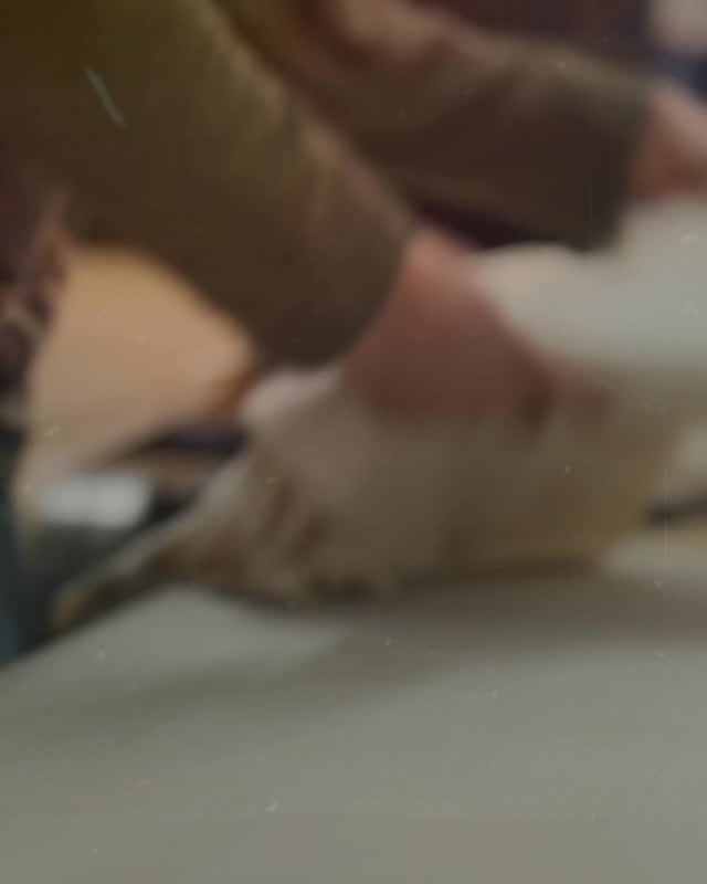👀
