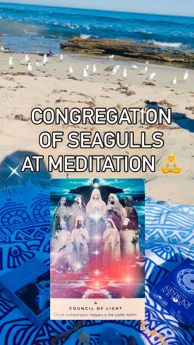 We called in the Council of light this morning at meditation and they CAME! 💖 In the form of hundreds of seagulls.. 🙏✨
Feeling so blessed for the love, light, healing and support from the angels 😇 this morning 🙏🧘
With gratitude 🙏
Tammy
Join us next time at beach meditation. Check out the dates and times for the next session https://www.naturalinnerhealth.com/book-online
#naturalinnerhealth #perthmeditation #healingwiththeangels #calmyourmind #groundintomotherearth