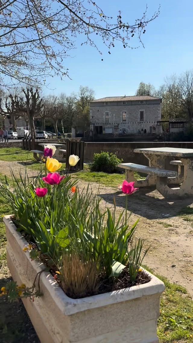 Souvenir de la réouverture du Moulin le 21 mars 🌸🌷🌻