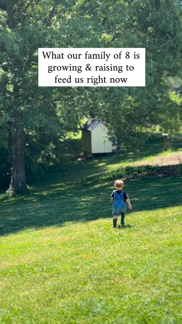 This year the goal was a small garden, but then everything is exploding in price and it looks like we are trying to grow a heck of a lot more 😅
What about you guys?
#homestead #farm #country #garden