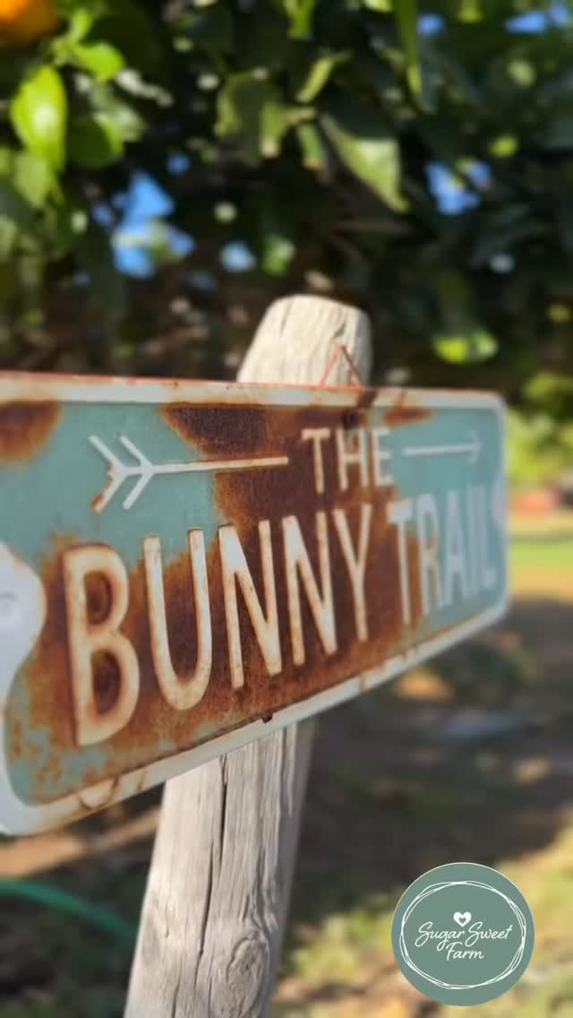 Welcome to BunnyBerg.
One of the sweetest parts of Farm Camp is how quickly the animals become part of the children’s world — not just something they visit, but someone they know by name, care for, and look forward to seeing each morning.
In this next reel from our Cruz & Tatum mini-series, Cruz introduces Tatum to Smokey and one of the coziest little corners of the farm.
Tiny cottages, garden paths, quiet bunny snuggles, and the kind of gentle childhood moments that make summer feel magical.
For six summers, Cruz has grown up here at Sugar Sweet Farm, and next year he officially joins our Counselor-in-Training program. We have a feeling he’s going to be an amazing CIT.
More farm adventures coming soon as we count down to the start of camp.
Sugar Sweet Farm Camp
Encinitas, California
Ages 6–12
Limited summer openings remain - SugarSweetFarm.com
#EncinitasSummerCamp #NorthCountySanDiego #FarmCamp #OutdoorChildhood #KidsWhoLoveAnimals