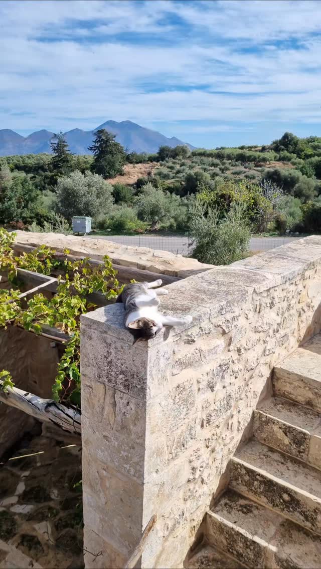 Last chance for the upcoming season!
A vacation at Blue Daisy, Crete.
We have only one final week left: September 21–28.
Perfect place for some soul-searching and a fresh start.
Just saying... 😉
Don't miss out!
#BlueDaisyCrete
#CreteVacation
#CreteGreece
#LastMinuteCrete
#EndOfTheSeason
